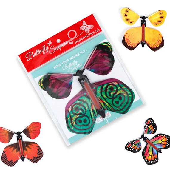 The Magic Butterfly