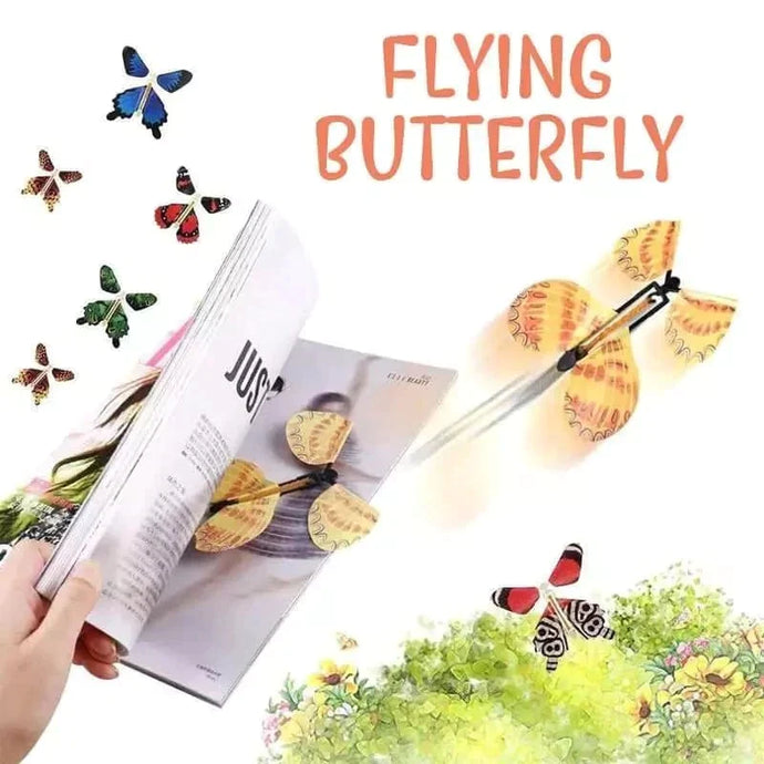 The Magic Butterfly