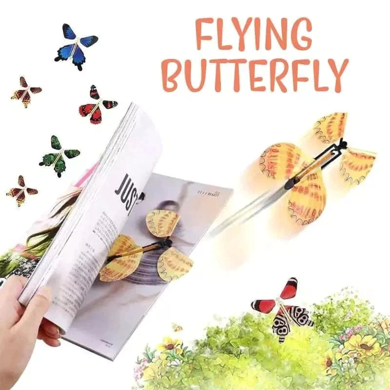 The Magic Butterfly